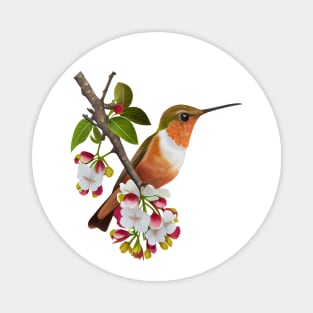 Hummingbird Watercolor Magnet